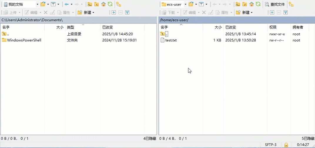 2025-01-08_14-38-05 (1)